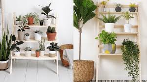 And how i propagate those plants to get more plants for free here. 15 Diy Plant Stands Shelves To Showcase Your Indoor Garden