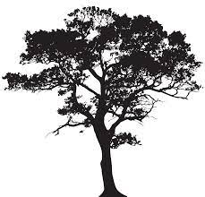 Silhouette Tree Png Clip Art Image Gallery Yopriceville High Quality Images And Transparent Png Tree Silhouette Tattoo Silhouette Clip Art Tree Silhouette