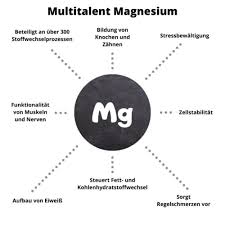 Magnesium kann vor herzinfarkt und schlaganfall schützen. Magnesium Semenvitae Chi Fur S Leben