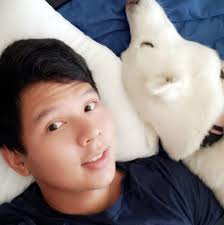 P1 triple tactics talent vs 2 activates ip masquerena into knightmare  Phoenix, would my opponent get phoenix eff