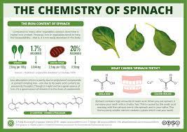 The Chemistry Of Spinach The Iron Myth And Spinach Teeth Compound Interest
