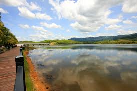 Beris lake vineyard is so impressive that the sultan of kedah once arranged a visit! Kembara Kedah Perak Ladang Anggur Tasik Beris Life Is About Passions Thank You For Sharing Mine Ms