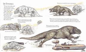 The Wildlife Of Star Wars A Field Guide By Terryl Whitlatch And Bob Carrau Star Wars Characters Pictures Star Wars Drawings Star Wars Rpg