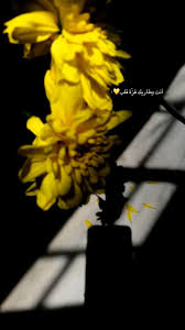 pin by نبع الحب on projects to try arabic tattoo quotes beautiful arabic words photo quotes