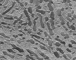 Image result for steel micrograph