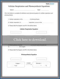 Identify the reactants and the products. Photosynthesis Worksheets Middle School Blog Archive