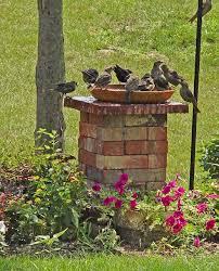 Sie benötigen material und ausrüstung für ihre. Pin On Garten