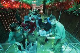 Download and upgrade me visto de chico y consigo n0v… Libur Tahun Baru 2021 Ribuan Pengunjung Padati Kbs Lenteratoday Com