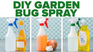 Diy Garden Bug Spray Youtube
