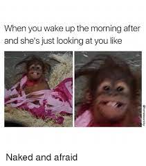 When You Wake Up The Morning After And She S Just Looking At You Like Naked And Afraid Meme On Me Me