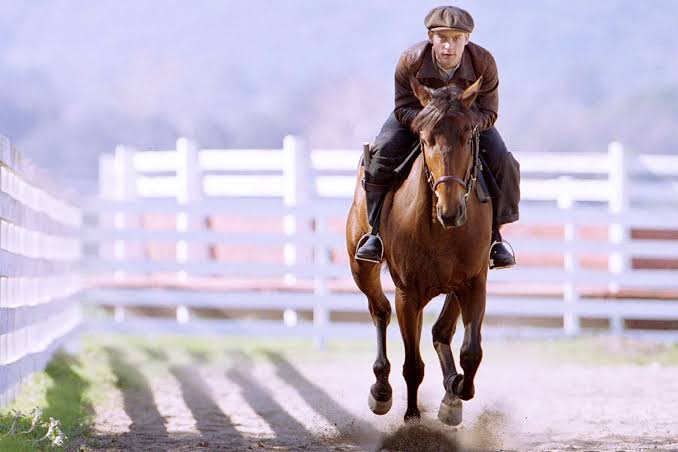 24-Year-Old Seabiscuit Horse Actor Popcorn Deelites Has Died, Per Farm