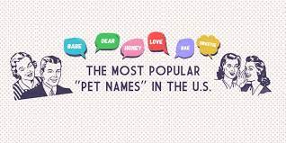 Now if you're looking for special spanish names to call. The Most Popular Pet Names For Couples The Black Tux Blog