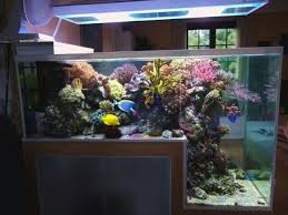 Unique Size Tank Aquarium Design Marine Aquarium Saltwater Tank