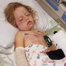 Fundraiser for Alexandra Berube by Samantha Schwirtz : Myla's Road To  Recovery