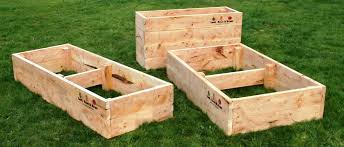 There was a time when pressure treated lumber contained arsenic (cca) and was not considered safe for use in raised. Raised Cypress Veggie Garden Beds Leaf Root Fruit Gardening Services