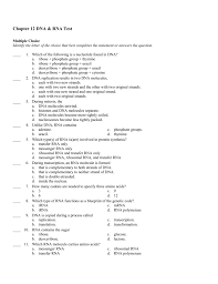 Genes are sections of dna that code for the production of proteins. Chapter 12 Dna Rna Test