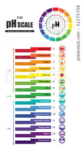 Ph Scale Universal Indicator Color Chart Diagram Stock