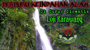 Berjarak 44 km dari pusat kota karawang, kita bisa menemukan curug cigentis yang menjadi salah satu objek wisata curug favorite di karawang. Perjalanan Menuju Curug Cigentis Gunung Loji Karawang Jawa Barat Youtube