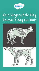 Pin On Discovery Zone