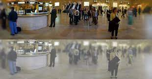 Cats seem to be nearsighted, which means they cannot see far objects as well. This Is How Cats See The World Wired