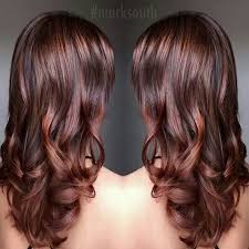 Beautiful Cinnamon Brown Hair Color Brown Hair Colors