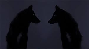 The perfect caramelldansen wolf anime animated gif for your conversation. Pin By Danijela Zivkovic On Gifs Black Dog Character Inspiration Wolf