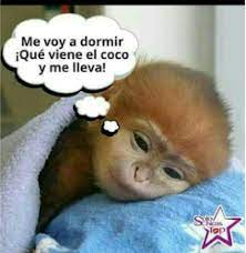 Resultado De Imagen De Imagenes Buenas Noches Divertidas Imagenes De Buenas Noches Buenas Noches Postales De Buenas Noches