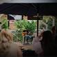 Live Music at Otto’s Ice House event in San Antonio, TX