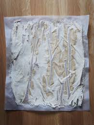 Comment Deshydrater Son Levain Le Coconut Blog Levain Fermentation Fait Maison Recette En 2020 Levain Fait Maison Recettes Au Levain