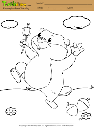 An easy i spy worksheet, several word puzzles, a groundhog connect the dots, and to make groundhog day your own, there's a step by step guide to drawing a groundhog! Groundhog Coloring Sheet Turtle Diary
