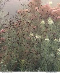 Where do you need the landscaping design? 80 Landscapes Ideas Landscape Garden Design Garden Inspiration