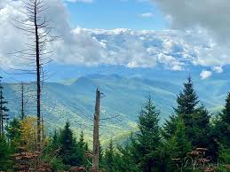 Maybe you would like to learn more about one of these? Clingmans Dome Smoky Mountains Highland Manor Inn