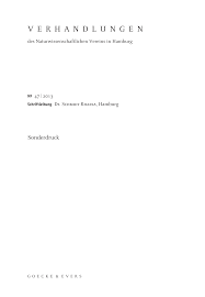 Image result for Schizochilus sulphureus