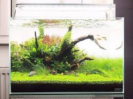 Vladimir Trcka Google Search Aquarien Aquarium Aquarium Terrarium