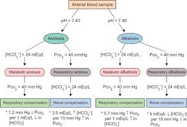 Disorders Of Acid Base Balance An Overview Sciencedirect