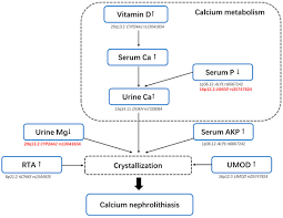 Image result for Calcium Nephrolithiasis