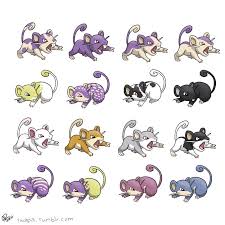 Rattata Variants By Twapa Pokemon Breeds Pokemon Pokemon