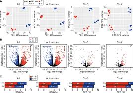 Dosage Compensation And Dna Methylation Landscape Of The X Chromosome In Mouse Liver Scientific Reports