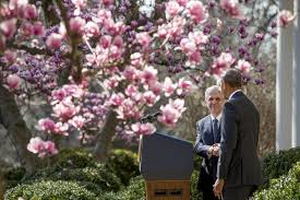 A native of the chicago area, garland attended harvard. Obama Picks Merrick Garland For Supreme Court Setting Off High Stakes Fight With Senate Wsj