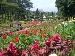 Kalau ingin liburan ke taman. Rekomendasi Wisata Kebun Bunga Di Bandung