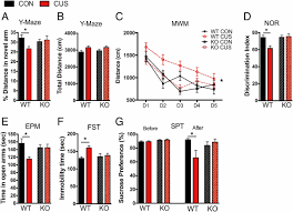 Tạo logo độc đáo của riêng bạn với trình tạo logo logaster chỉ trong vài giây! Tau Protein Is Essential For Stress Induced Brain Pathology Pnas