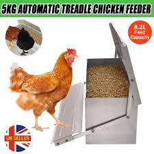 The Problems With A Treadle Chicken Feeder - Dine-A-Chook