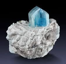 Image result for Euclasta