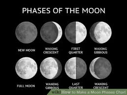 Make A Moon Phases Chart Moon Phase Chart Moon Orbit