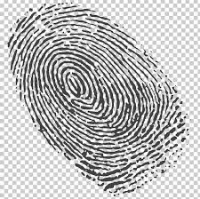 Fingerprint Spiral Png Clipart Area Black And White