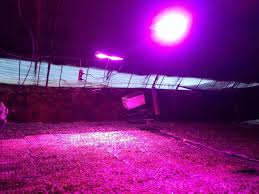 瓶中花園 led植物燈 led植物生長燈 led植物栽培燈 led植物培養燈 led植物補光燈 led植物照明燈 植物燈 vitalux一燈入魂