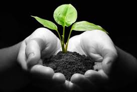 Optimistic organic sdn bhd lot 3351 teluk kalong industrial estate 24007 kemaman terengganu malaysia. Optimistic Organic Sdn Bhd Manufacturer Of Maleic Anhydride