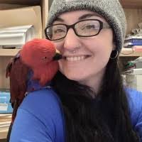 1100+ perfiles de «Solum»