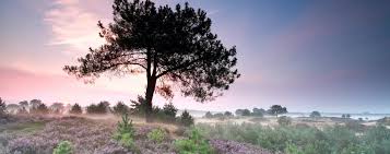 It is the only province with an official second language, for instance. Friesland Travel The Netherlands Europe Lonely Planet