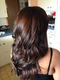 Black Hair With Red Tint Dark Brown Hair Color Rich Brown Hair Hair Styles